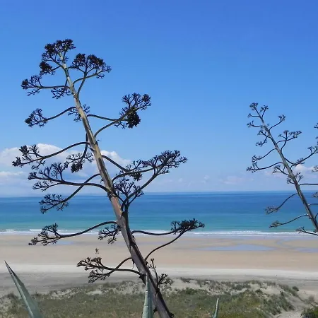 Apt. Alegria 公寓 *